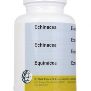 Zonnehoed (Echinacea)
